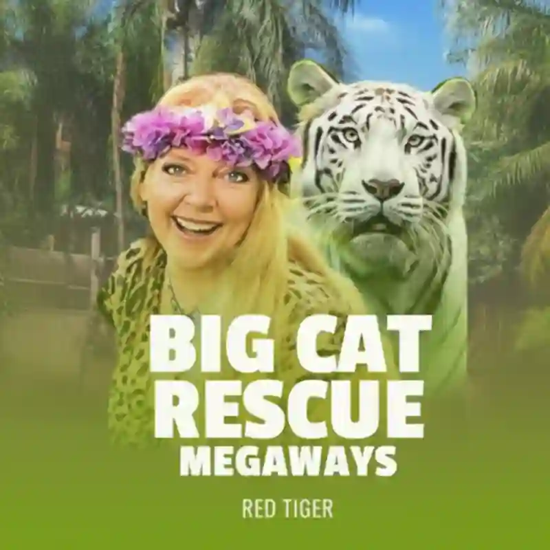 Big Cat Rescue Megaways